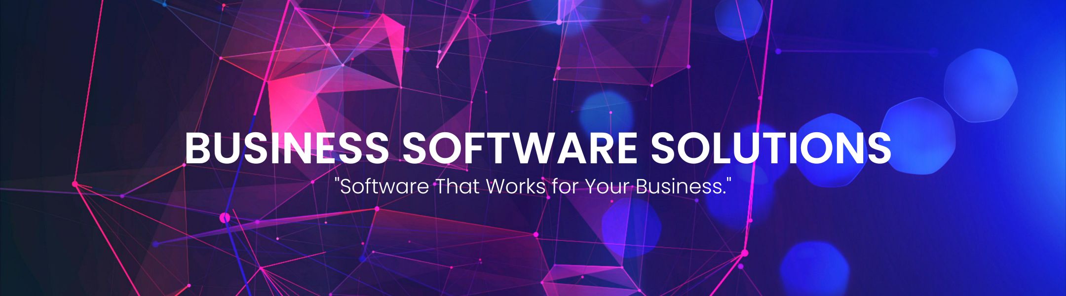 Business Software Solutions